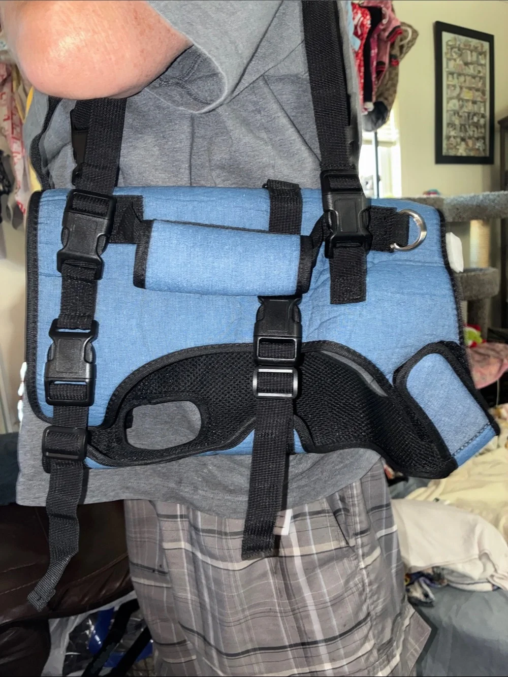 Pet carry bag/backpack